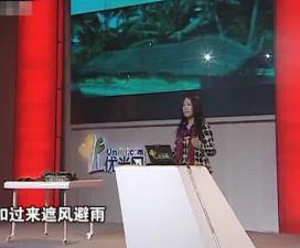 海南岛黎族文化的天人合一