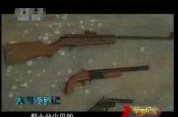 大案侦破记（二）