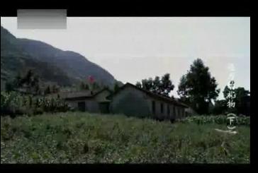 远方的礼物（下）