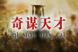 奇谋天才（上）