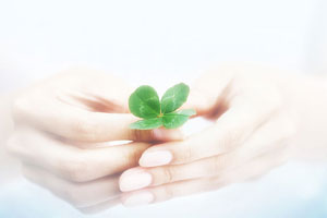 教育：生命的礼赞