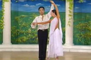 蝴蝶布鲁斯（三）