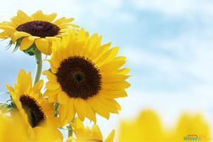 现代生活方式病走路步行简便适用