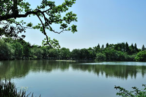 国美岁月（下）