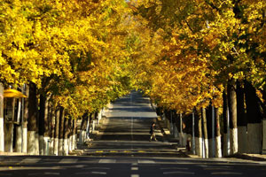 青岛八大关（上）