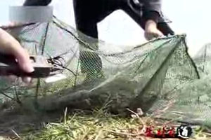 无泥养出泥鳅来