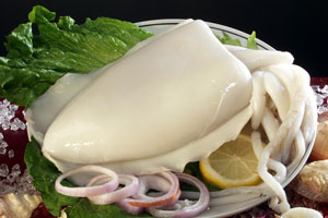 德水的乌贼情缘