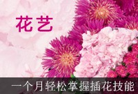 001-插花花艺概述（一）