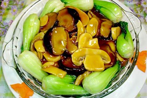 珍美山菌（下）