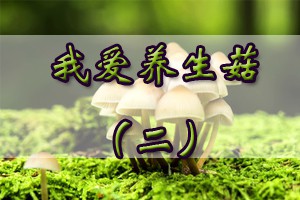 我爱养生菇（二）