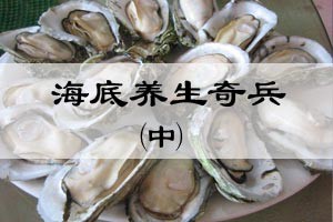 海底养生奇兵（中）