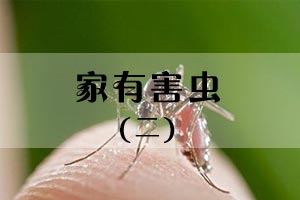 家有害虫（二）