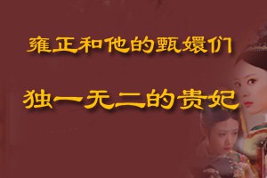 雍正和他的甄嬛们独一无二的贵妃