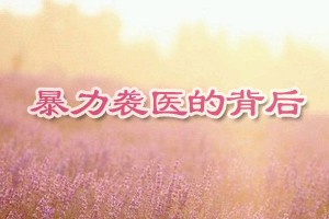 暴力袭医的背后