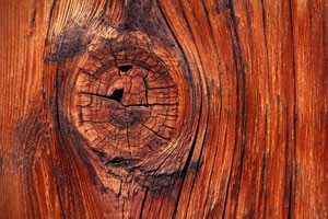 盛世红木万千宠爱