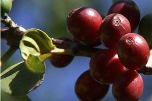 转让亿元资产深山掘金的女人