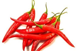 辣椒妹的火辣财富