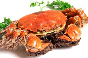 本期创业人物：李鑫