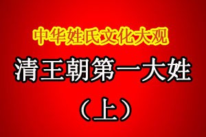 清王朝第一大姓（上）