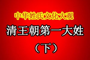 清王朝第一大姓（下）