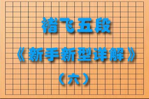 褚飞五段《新手新型详解》（六）