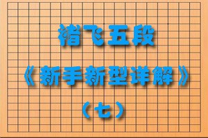 褚飞五段《新手新型详解》（七）