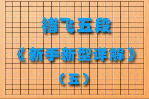 褚飞五段《新手新型详解》（五）