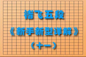 褚飞五段《新手新型详解》（十一）