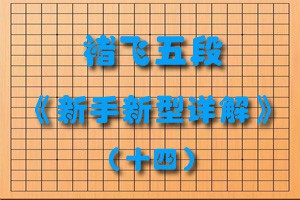褚飞五段《新手新型详解》（十四）