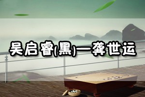 吴启睿(黑)——龚世运