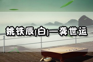 姚铁辰(白)——龚世运