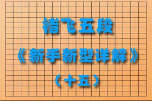 褚飞五段《新手新型详解》（十五）