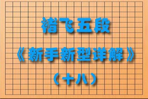 褚飞五段《新手新型详解》（十八）