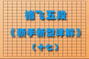 褚飞五段《新手新型详解》（十七）