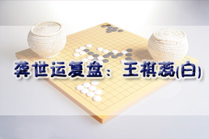 龚世运复盘：王祺蕊(白)