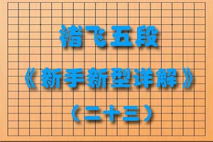 褚飞五段《新手新型详解》（二十三）