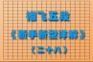 褚飞五段《新手新型详解》（二十八）