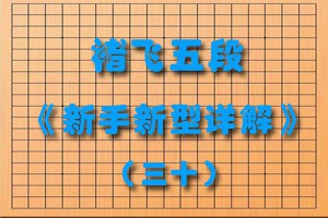 褚飞五段《新手新型详解》（三十）