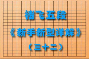 褚飞五段《新手新型详解》（三十二）