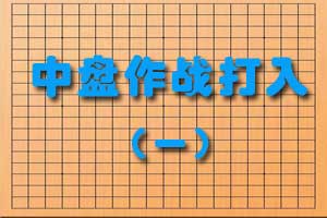 中盘作战打入（一）