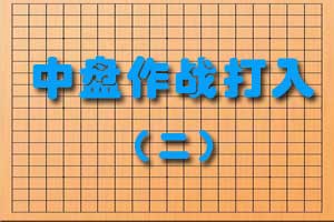 中盘作战打入（二）