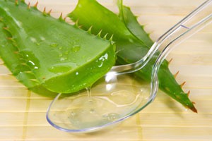 阳台上的鲜药房（下）