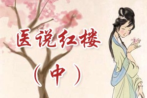 医说红楼（中）
