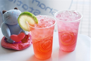 王萌 PK 安德鲁·帕丝托雷（下）