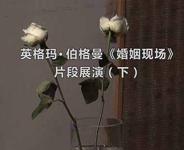 英格玛·伯格曼《婚姻现场》片段展演（下）