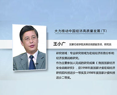 大力推动中国经济高质量发展（下）