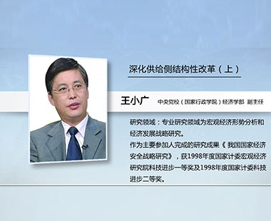 深化供给侧结构性改革（上）