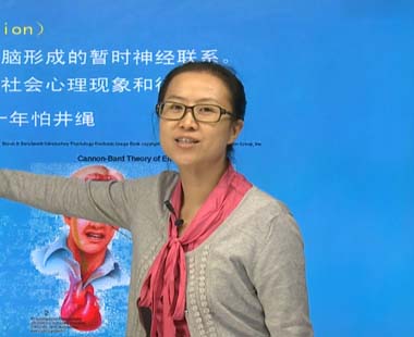 第二章 社会心理学的派别及理论（一）