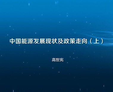 中国能源发展现状及政策走向（上）