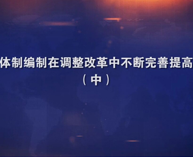 体制编制在调整改革中不断完善提高（中）